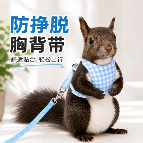 小宠外出分体牵引绳松鼠胸背土拨鼠兔子狐獴龙猫雪貂荷兰猪防逃脱