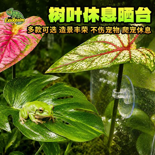 加强吸盘爬宠寄居蟹斗鱼休息爬台晒台树叶龟背竹水族造景守宫跳蛛