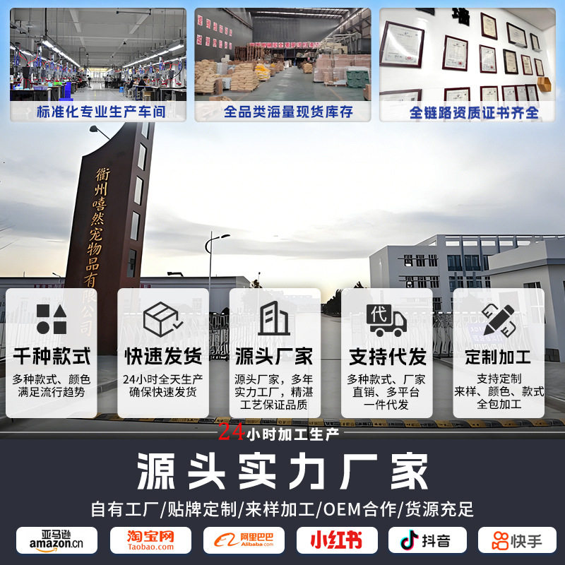宠物航空箱大号猫咪外出