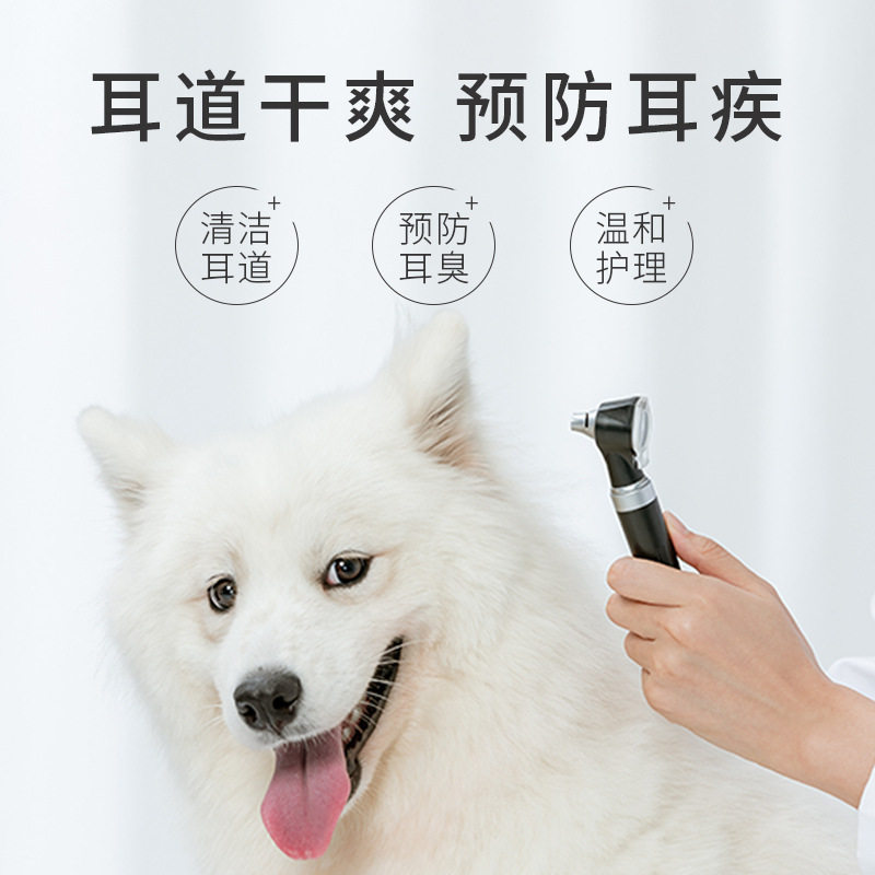 狗狗拔耳毛粉泰迪洁金毛
