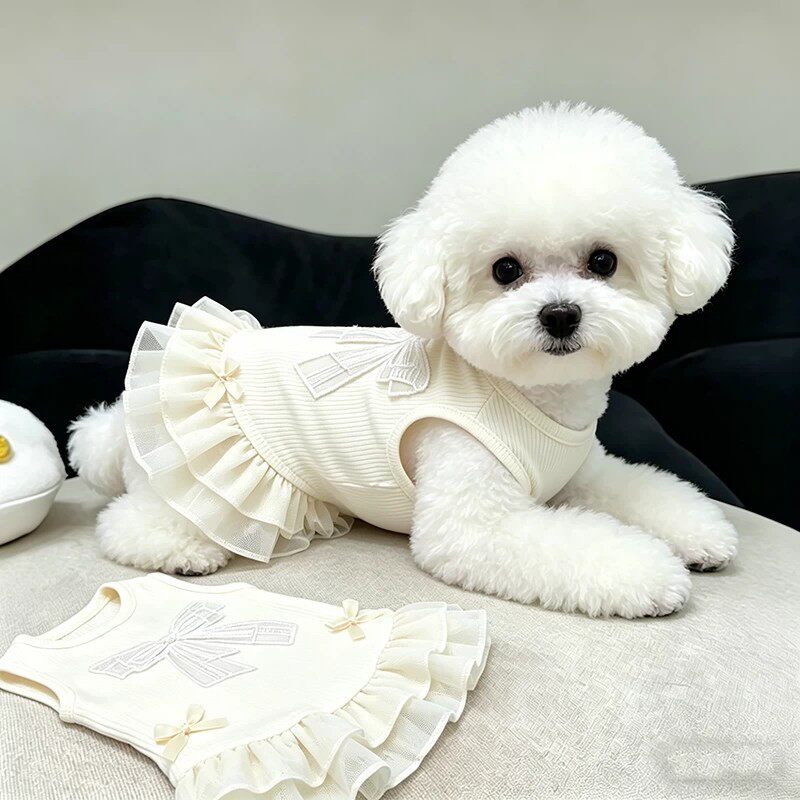 狗狗衣服夏季洋气公主风