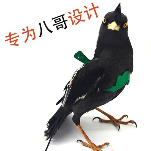 不锈钢自助餐酒店酒吧冰块食物针