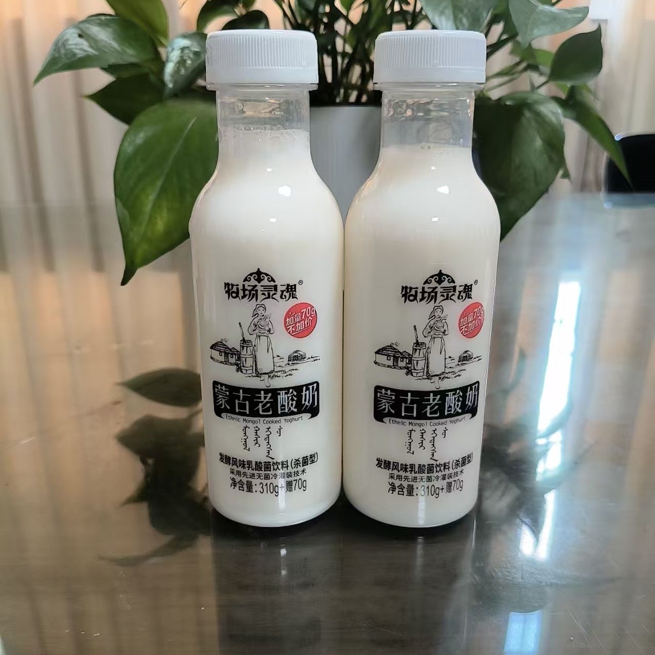 蒙古老酸奶新日期15瓶整箱380ml发酵风味乳酸菌牧场灵魂原味丝滑