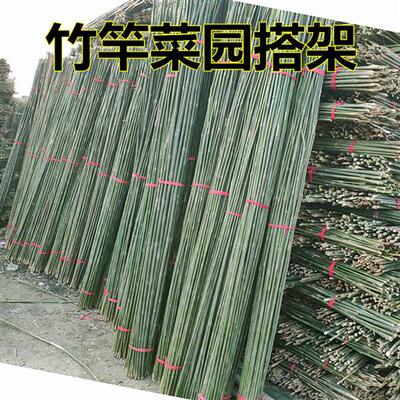 竹竿菜园搭架竹杆豆角黄瓜架子小竹子细竹竿棍竹篱笆围栏种菜架杆