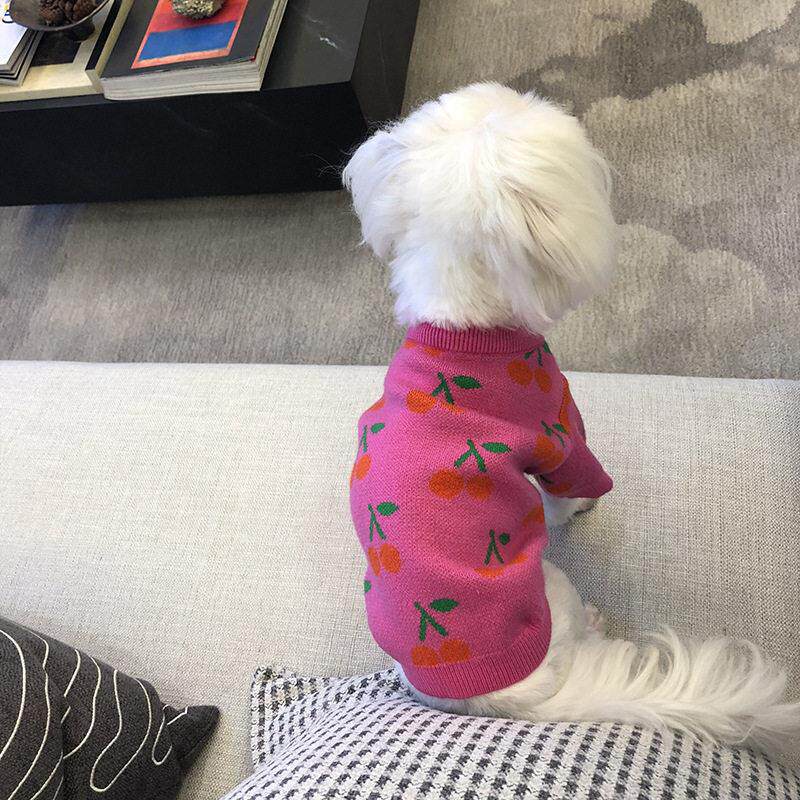 比熊专用衣服泰迪狗狗秋冬季冬天小鹿犬吉娃娃保暖针织毛衣小体犬