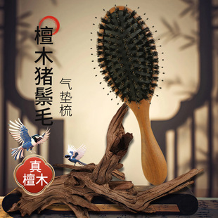 松塔猪鬃毛护发梳气垫梳养生头部经络梳子女高颜值气囊梳礼盒送人