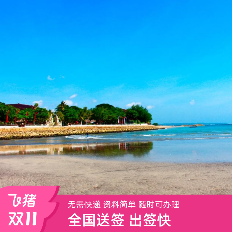 印尼各种签证均可办理 印尼落地电子签 印尼60天停留 印尼一年多次 均可办理 简单资料 出签迅速 直连官网