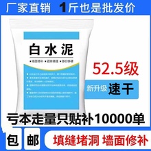 国标525白水泥家用防水防霉瓷砖填缝堵洞补墙地漏速干白色水泥胶