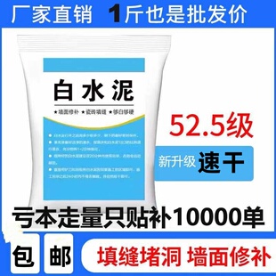 国标525白水泥家用防水防霉瓷砖填缝堵洞补墙地漏速干白色水泥胶