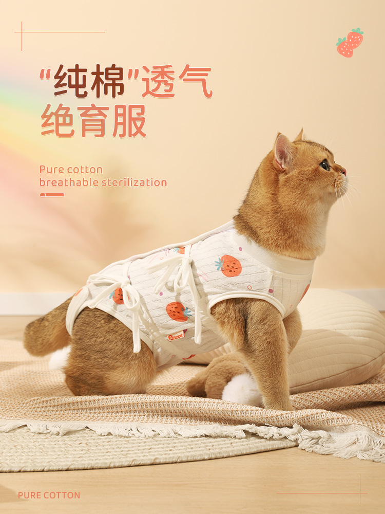 猫咪绝育服母猫断奶服宠物术后防舔衣服防掉毛薄款透气猫猫手术服