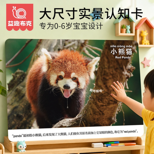 宝宝早教认知卡0到6岁益智玩具