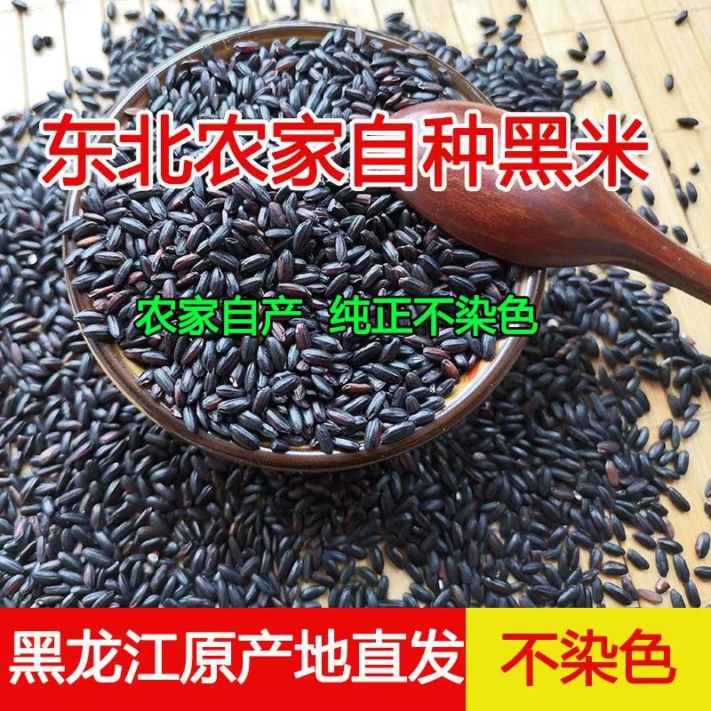 东北农家自种黑米五常黑大米糯米