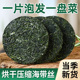 压缩海带丝霞浦特产海鲜水产干货凉拌菜涮火锅炖汤 高倍泡发