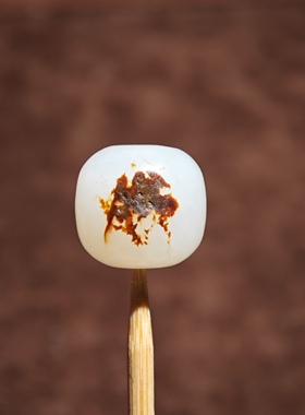 正宗新疆和田玉籽料14*15mm老型珠红皮白肉单珠顶珠原皮高档配饰