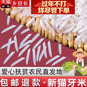 广西猫牙香米当季 新米煲仔饭丝苗大米蛋炒饭长粒香米油粘米农家米