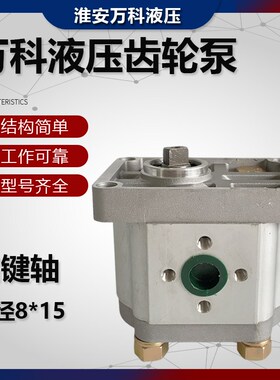 齿轮泵 液压油泵CBN-E310 E314 E306 E320 E325 E316淮安万科液压
