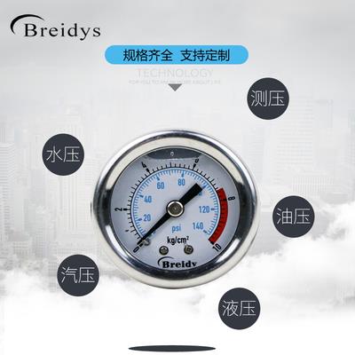 压力表YN40Z不锈钢耐震测