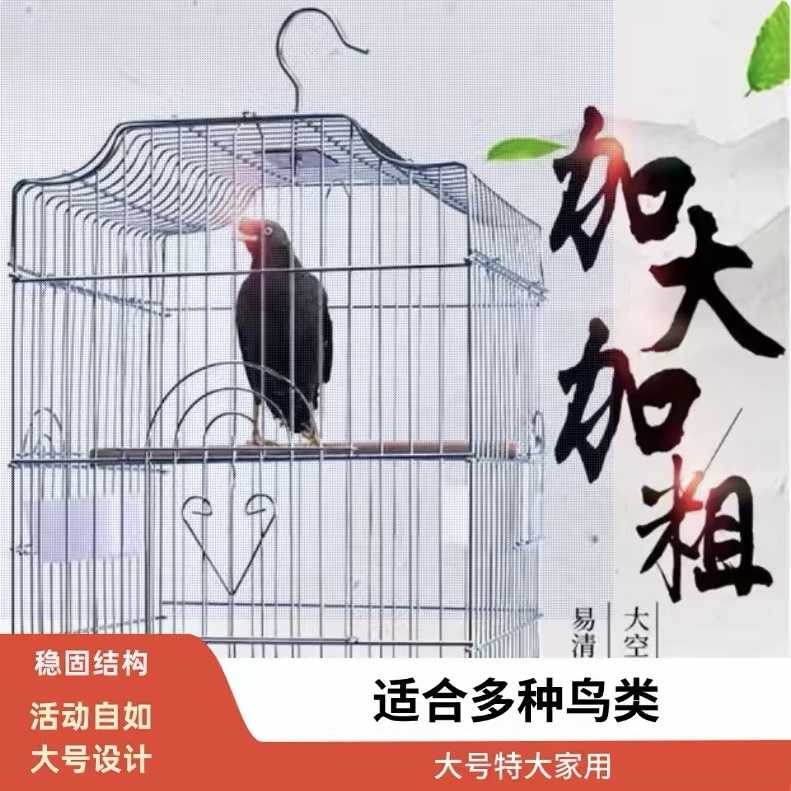 鸟笼鸽子八哥玄凤鹩哥鹦鹉笼子
