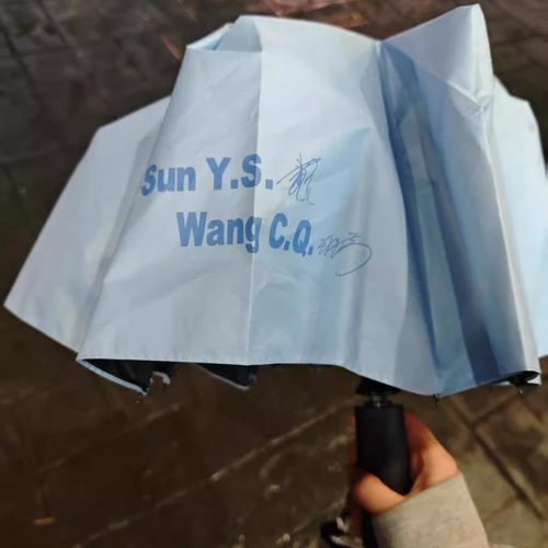 莎头周边孙颖莎王楚钦签名伞