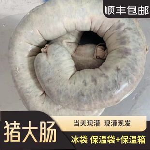 东北血肠猪大肠灌制正宗东北土特产东北血肠猪大肠真空包装顺丰邮