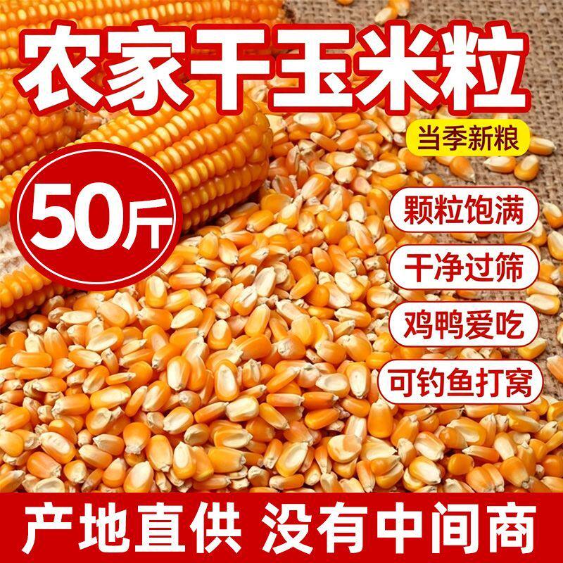 2026年河南新粮养殖专用原料酿酒