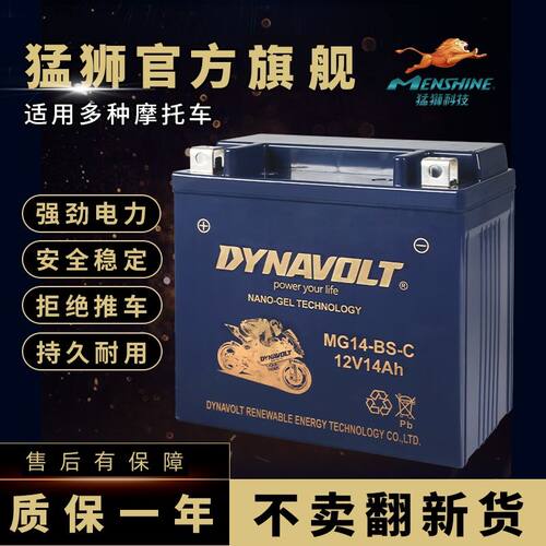 猛狮摩托车电瓶通用春风