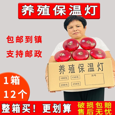 养殖专用灯泡仔猪保温灯