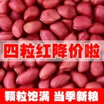 新货红皮花生米生农家自产红衣生花生新鲜花生杂粮净重发货四粒红