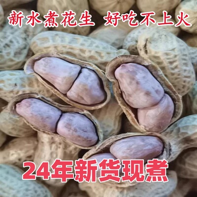 2025年新花生水煮花生咸干花生白晒花生龙岩花生咸干花生非白晒