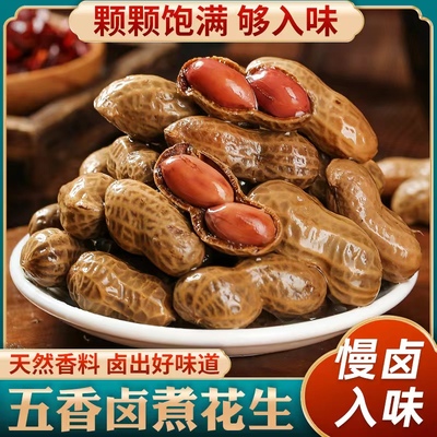 五香水煮带汁花生新鲜水煮夜市烧烤带壳开袋喝啤酒伴侣下酒卤花生