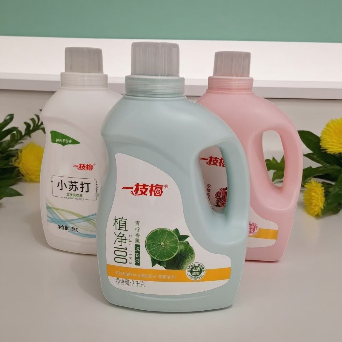 一枝梅青柠香薰植净洗衣液