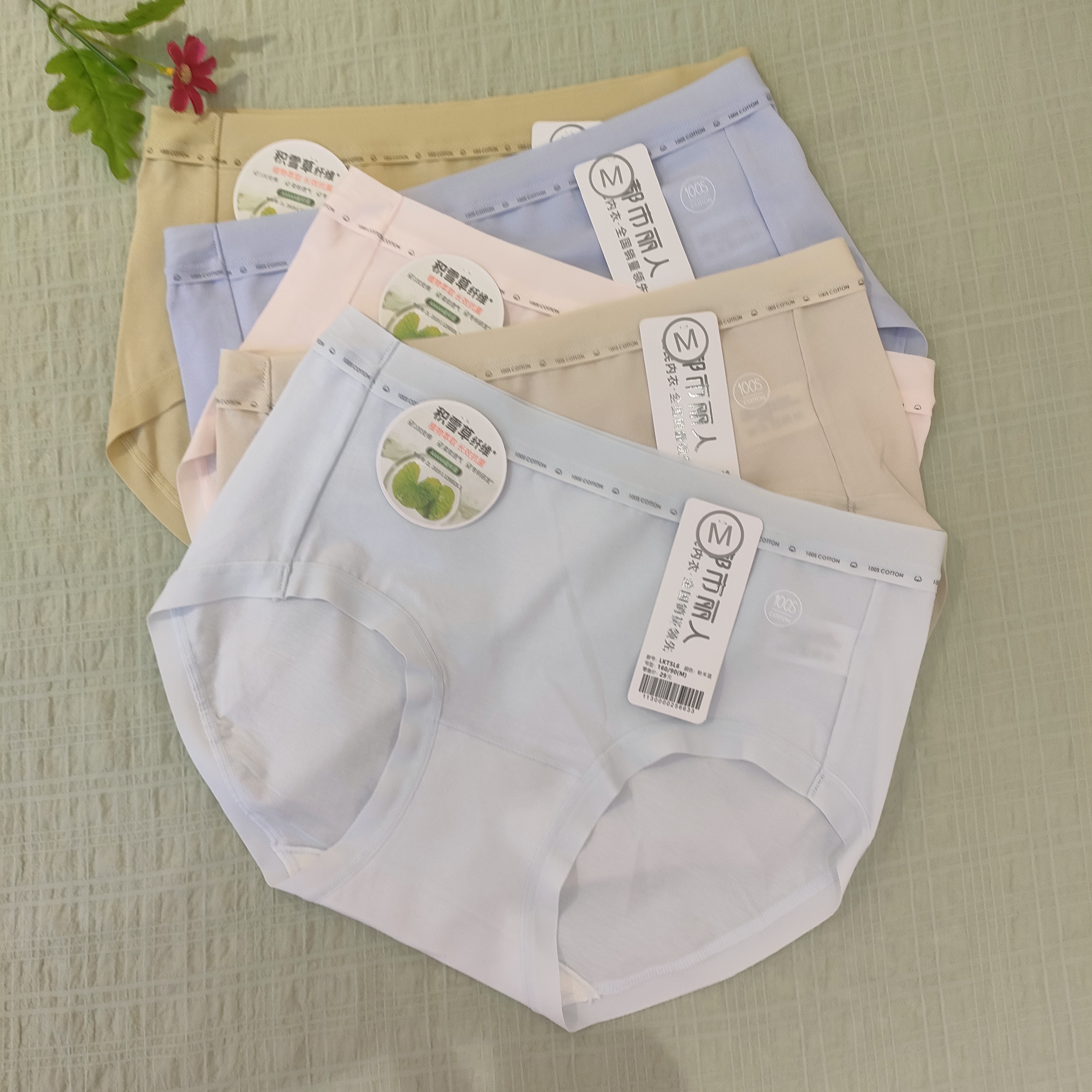 都市丽人女士内裤LKT5L6中腰