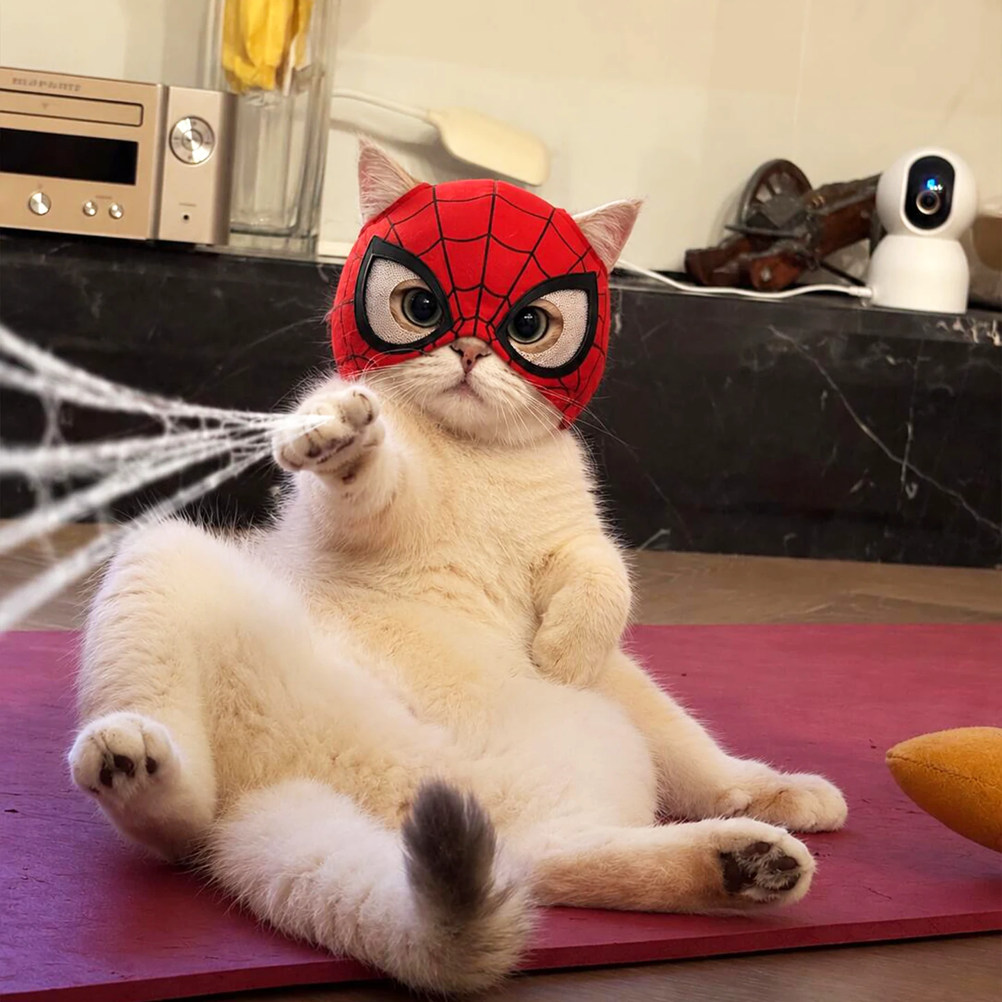 猫咪蜘蛛侠头套宠物帽子趣味变身