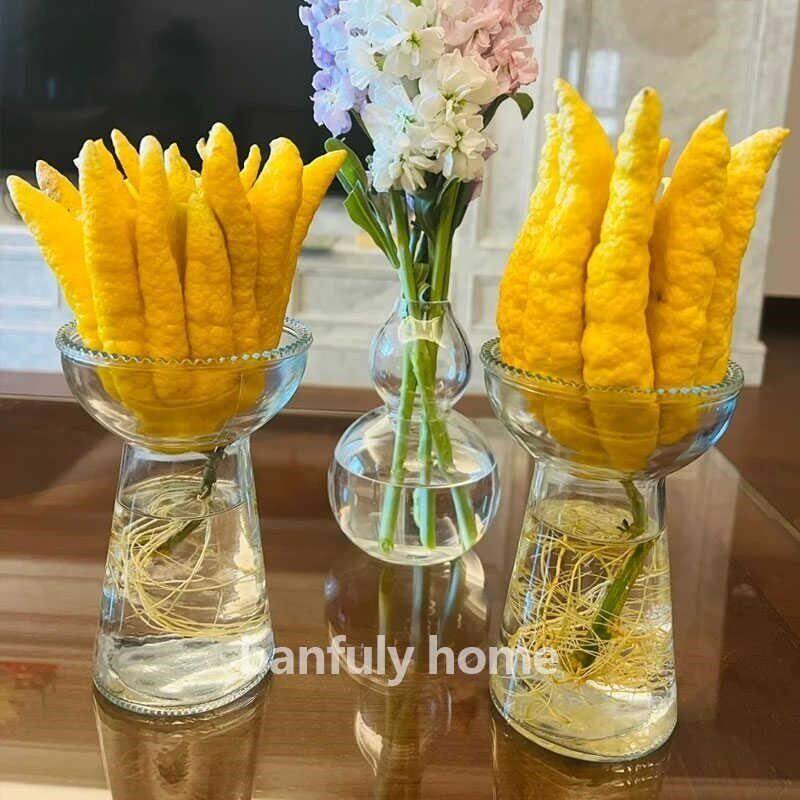 佛手柑花瓶水培器皿花盆观赏插花创意陶瓷玻璃水养摆件容器养花