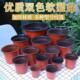 一次性育苗盆双色盆营养钵塑料简易花盆特大号育苗双色花盆种植盆