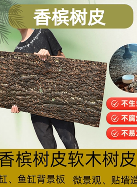 天然真树皮香槟软木树皮爬宠鱼缸装饰造景植物墙背景装饰墙面树皮