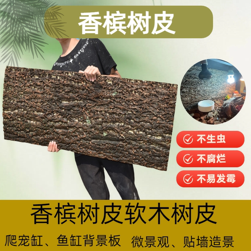 香槟软木树皮水族缸爬宠箱背景板