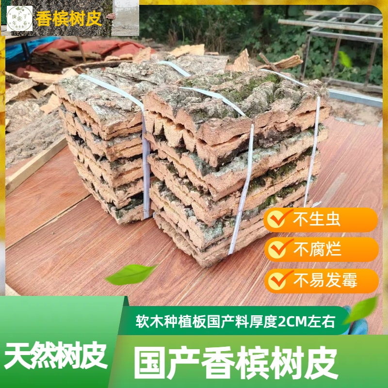 天然真树皮香槟树皮软木树皮厚板鹿角蕨蝴蝶兰石斛空气凤梨种植板
