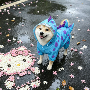可爱狗雨衣宠物披下天四脚