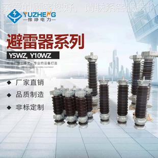 Y5WZ 134 42Y5WZ120 金氧化锌避5雷器 瓷避雷属器 YWZ 陶