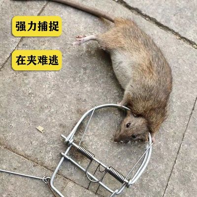 老鼠夹子超强扑捉抓逮捕鼠器神器高效克星笼灭鼠家用全自动一窝端