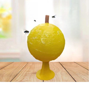 室内飞虫克星粘杀除小飞虫神器水果店厨房垃圾桶防苍蝇无毒一扫光