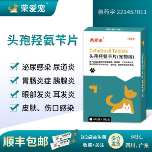 荣爱宠头孢羟氨片宠物犬用狗狗猫咪感冒药消炎咳嗽肠胃炎拉稀呕吐