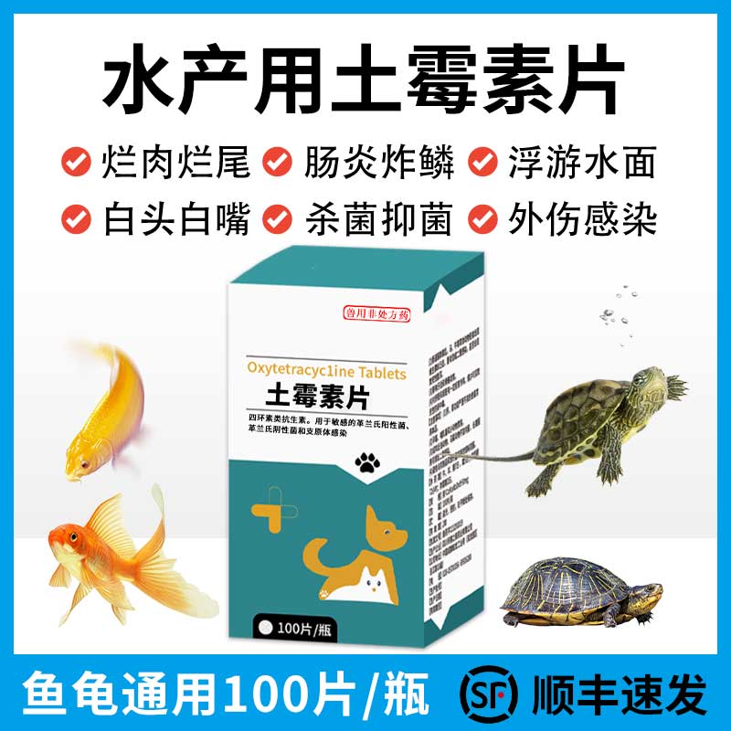 水族专用药肠炎肺炎炸鳞顺丰包邮