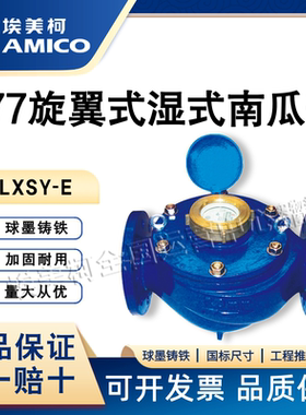 埃美柯LXSY-E 铁壳旋翼式全液封法兰南瓜表大肚子冷水表机械表077