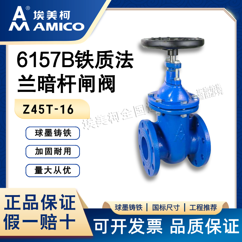 法兰闸阀埃美柯Z45T-16铸铁