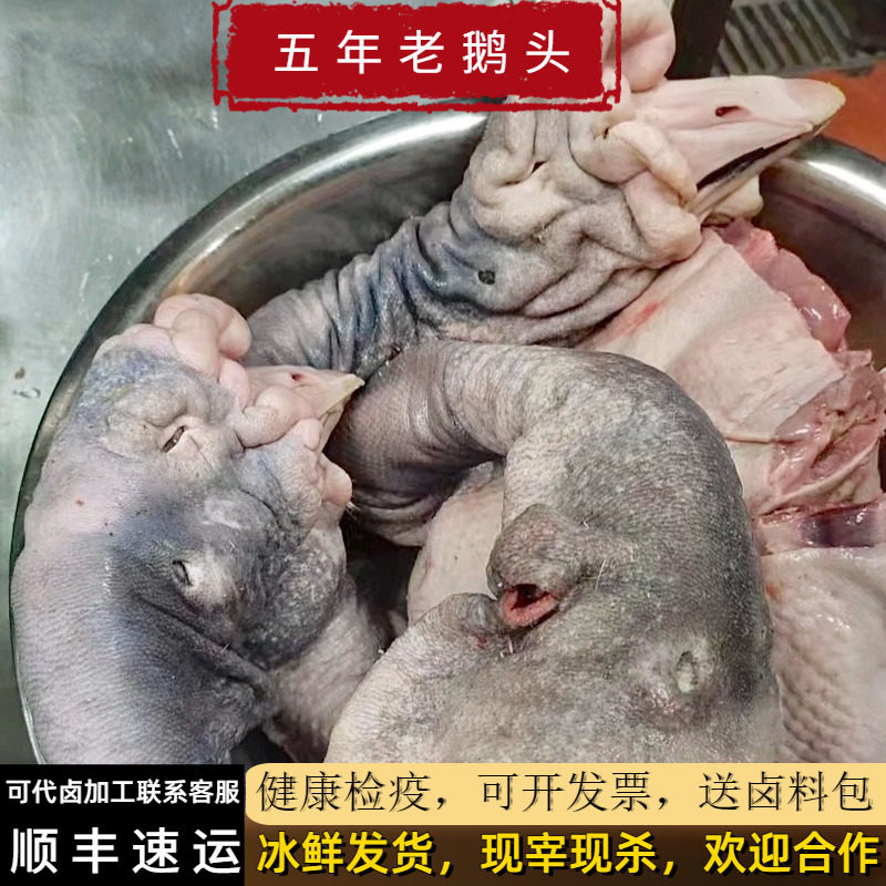 潮汕正宗澄海狮头鹅5年老鹅头卤水特色老鹅头脖狮头鹅