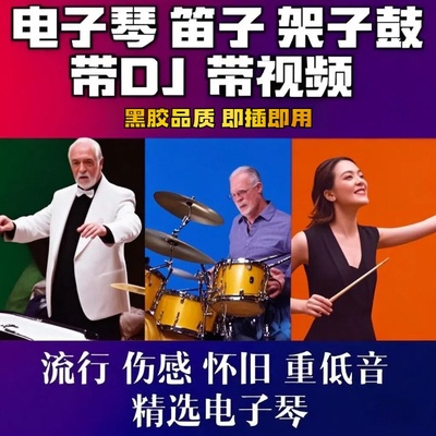 车载电子琴dj无损u盘tf