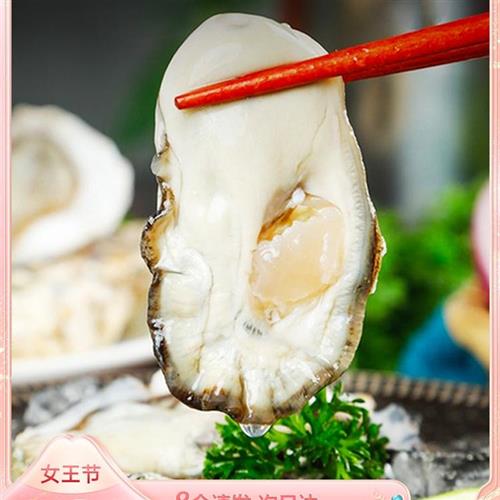 惠蚝乳山生蚝鲜活带箱10斤新鲜特大即食烧烤牡蛎肉海蛎子海鲜水产