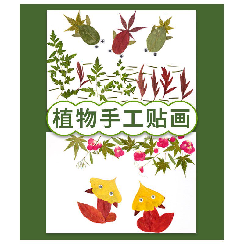 真树叶画手工贴画 幼儿园学生儿童diy材料创意干树叶天然植物标本